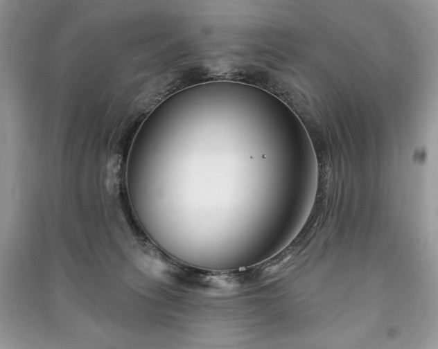 X0000090970275200708091442