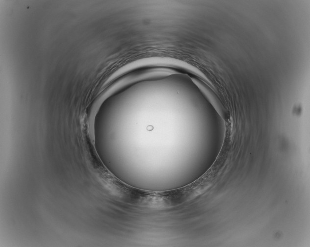 X0000090970276200708091442