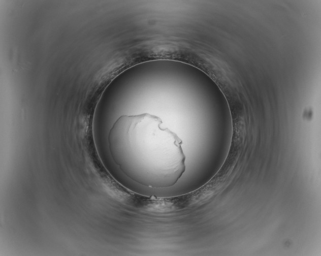 X0000090970278200708091442