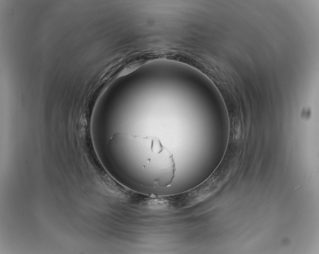 X0000090970279200708091442