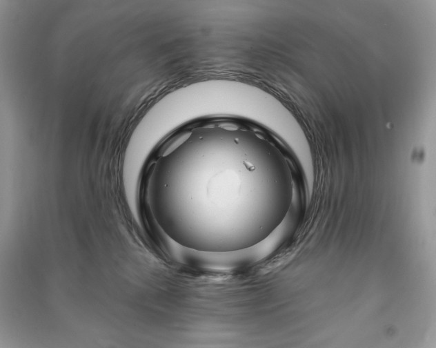 X0000090970280200708091442