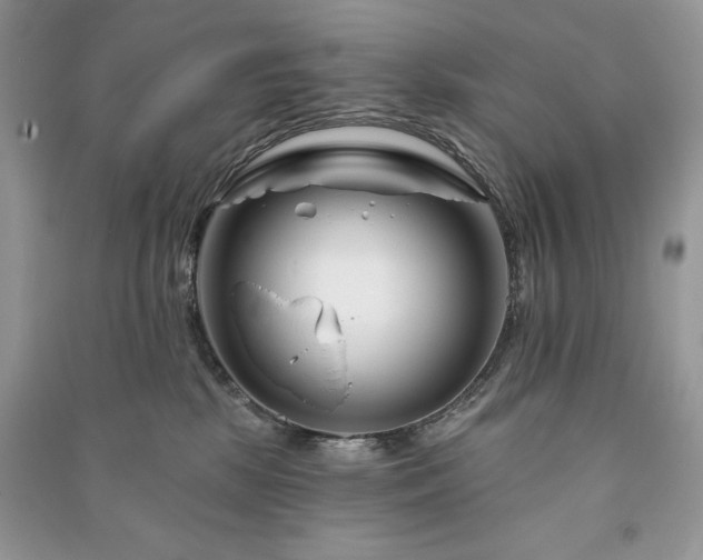 X0000090970281200708091442