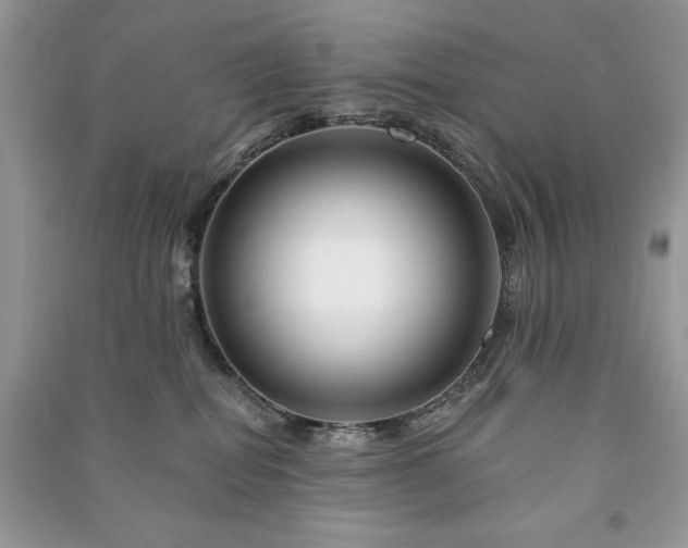 X0000090970282200708091443