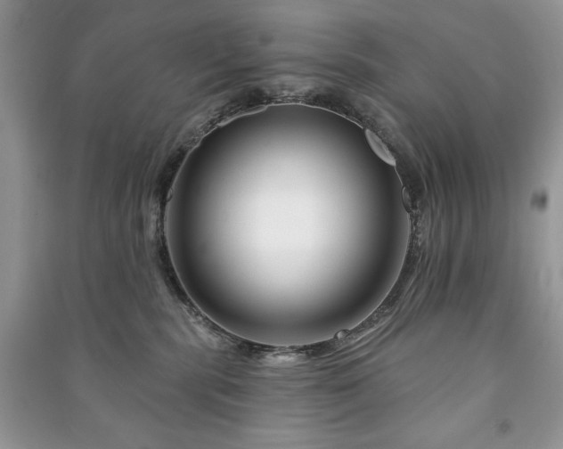 X0000090970283200708091443