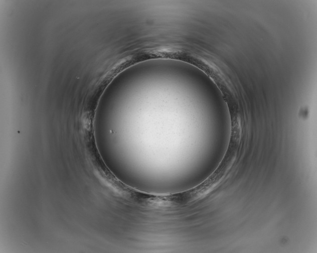 X0000090970284200708091443