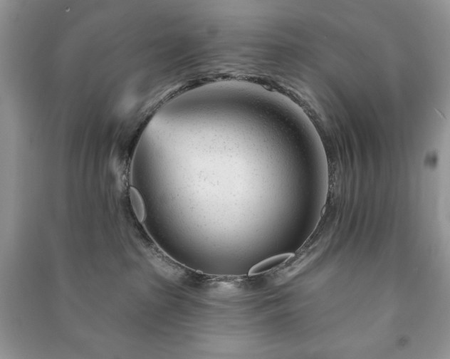 X0000090970285200708091443