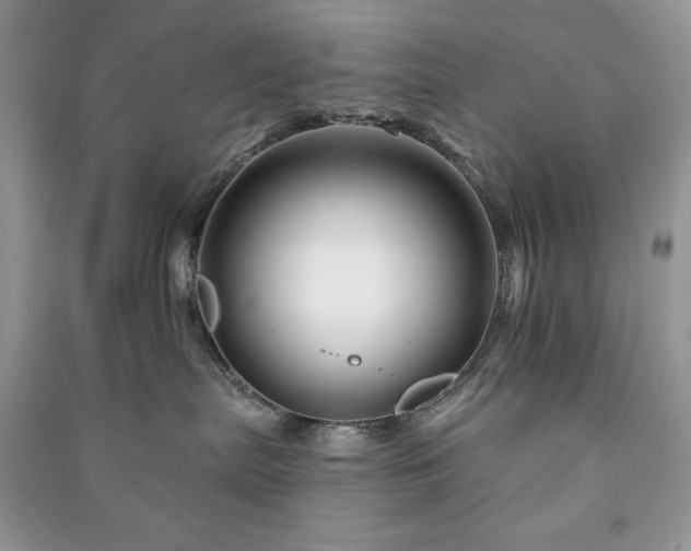 X0000090970287200708091443