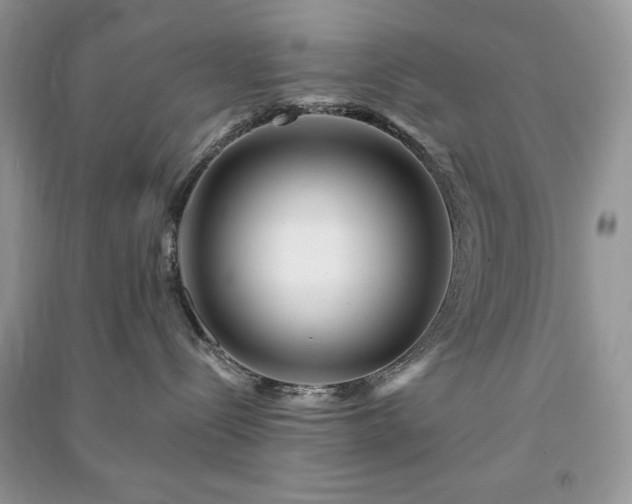 X0000090970288200708091443