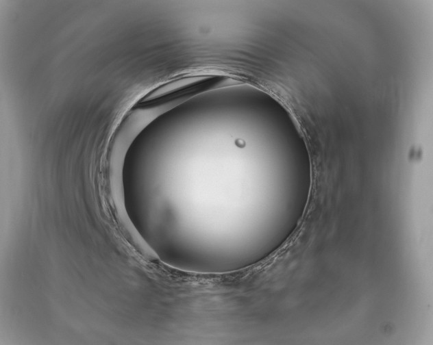 X0000090970289200708091442