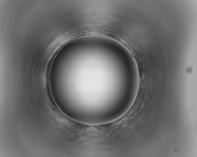 X0000090970290200708091442