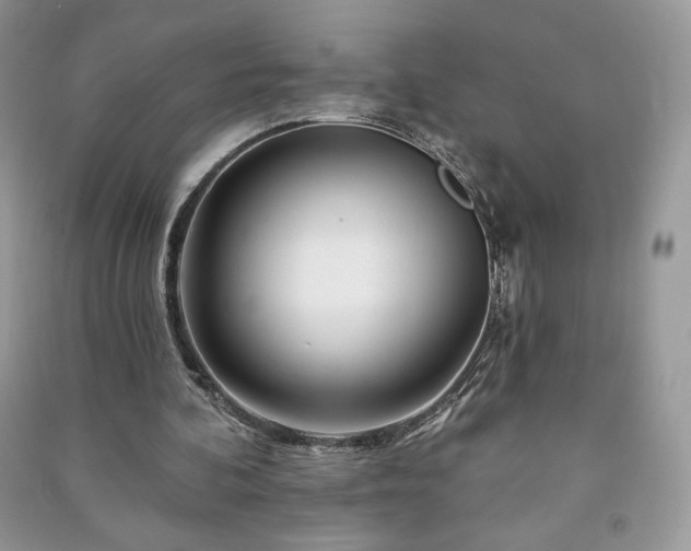 X0000090970292200708091442