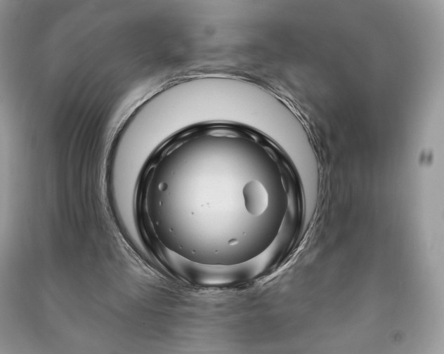 X0000090970293200708091442