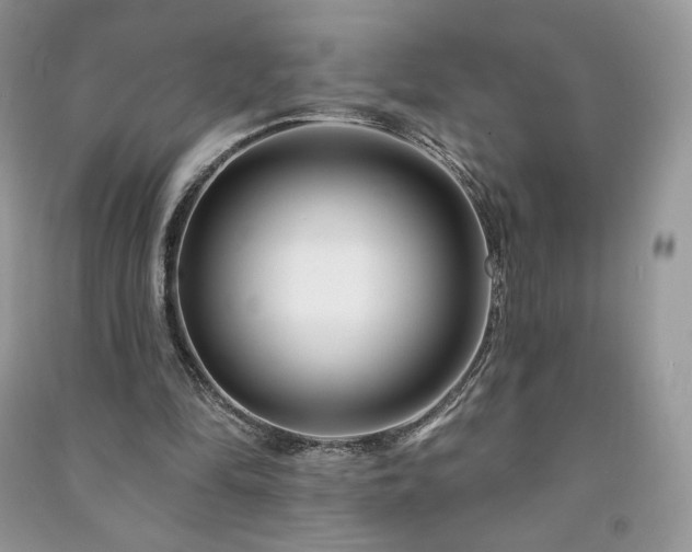 X0000090970294200708091442