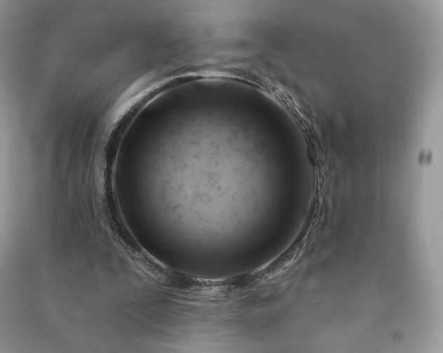 X0000090970295200708091442