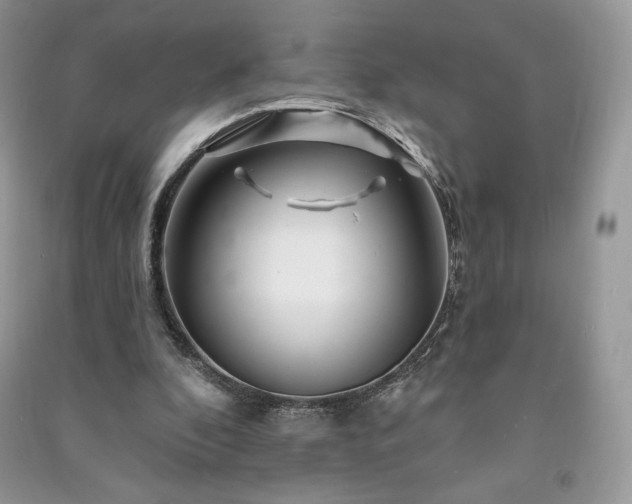 X0000090970296200708091442