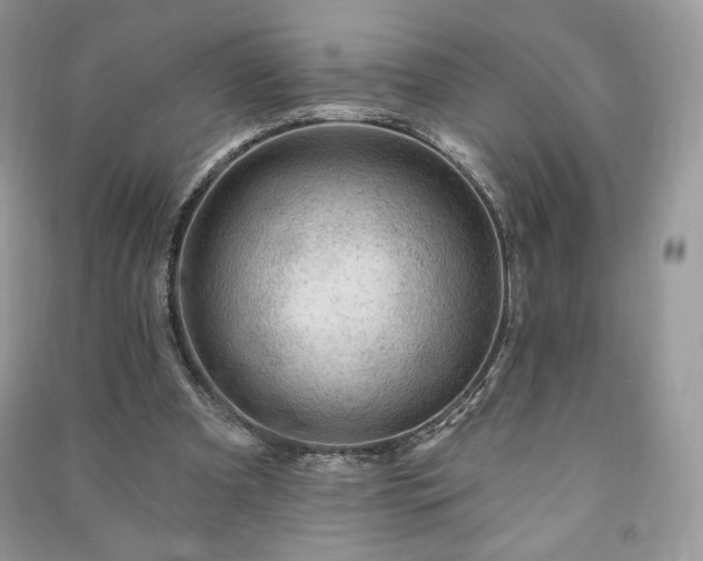 X0000090970297200708091442