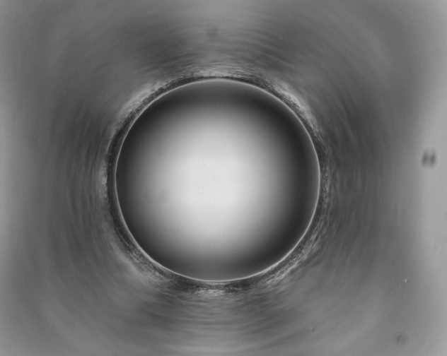 X0000090970298200708091442