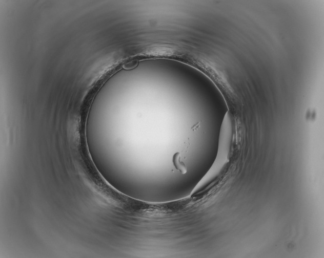 X0000090970300200708091442