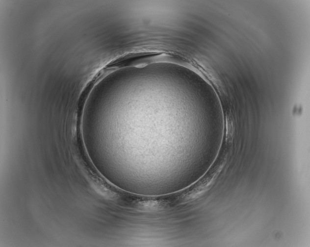 X0000090970301200708091442