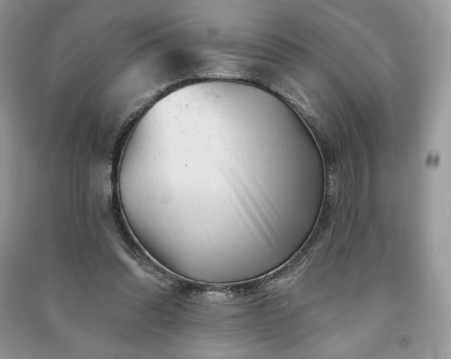 X0000090970302200708091442