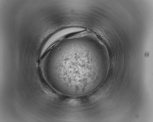 X0000090970303200708091442