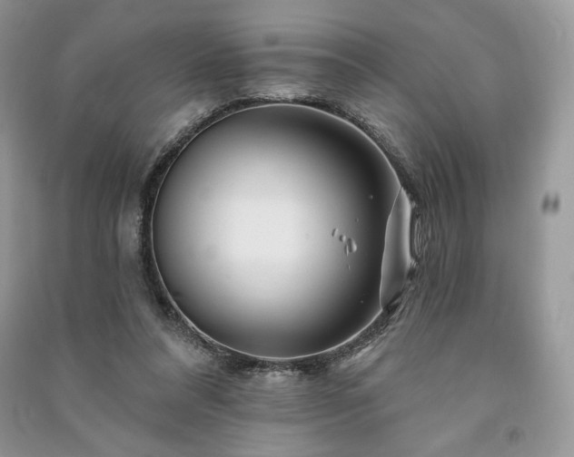 X0000090970304200708091442