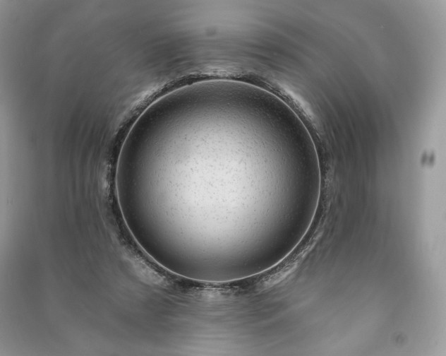 X0000090970305200708091442