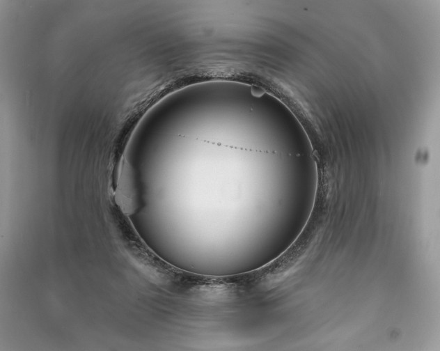 X0000090970307200708091442