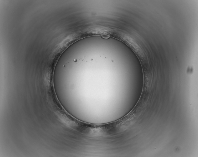 X0000090970309200708091442