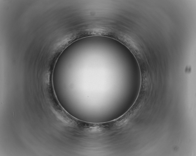 X0000090970310200708091442