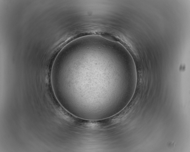 X0000090970313200708091442