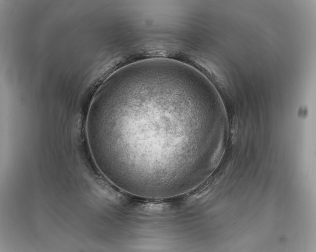 X0000090970314200708091442