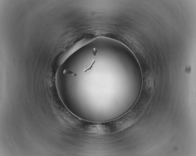 X0000090970316200708091442