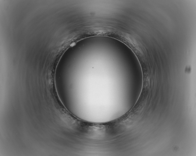 X0000090970317200708091442