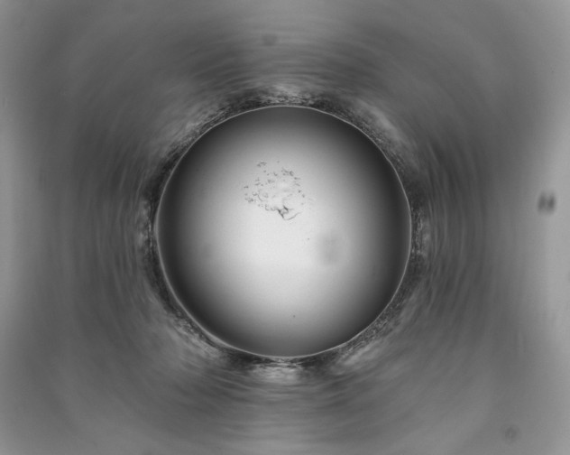 X0000090970318200708091442