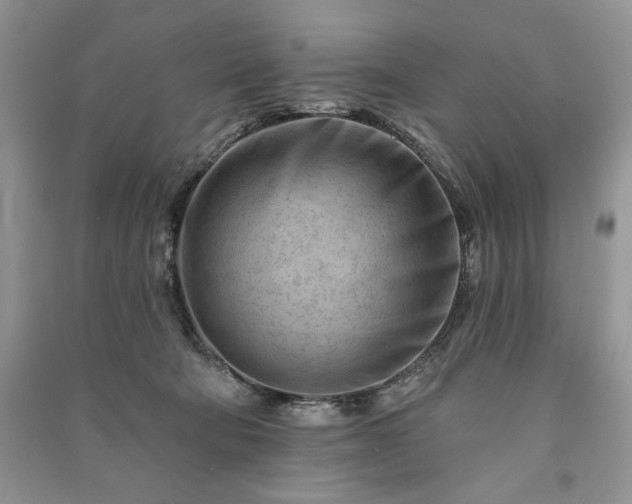 X0000090970322200708091442