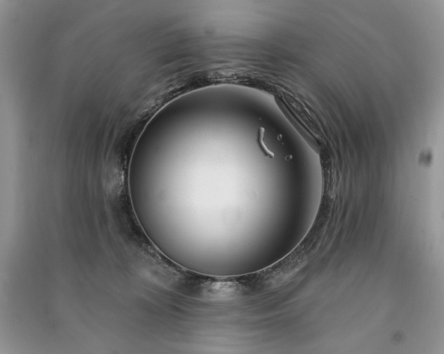 X0000090970324200708091442