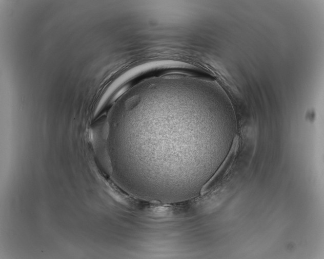 X0000090970325200708091442