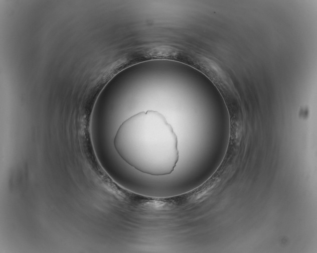 X0000090970326200708091442