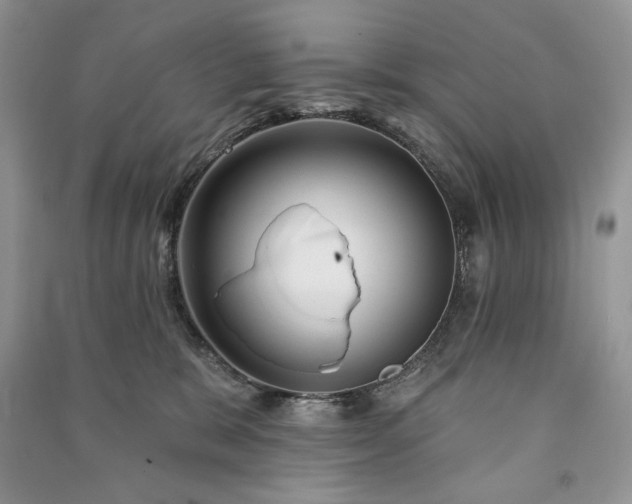 X0000090970327200708091442