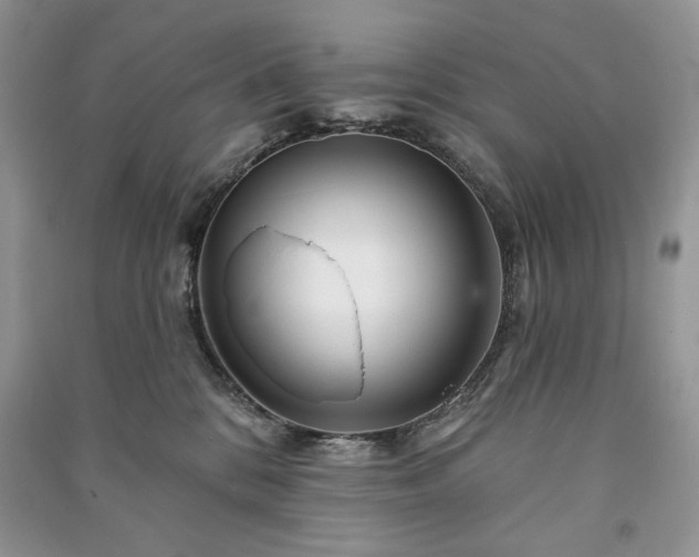 X0000090970328200708091442