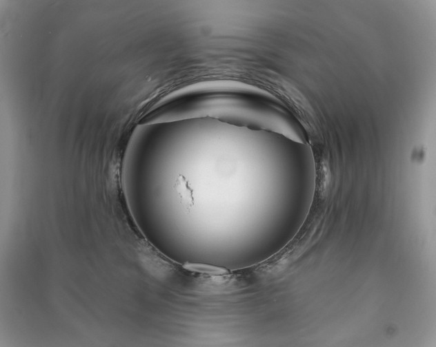 X0000090970329200708091441