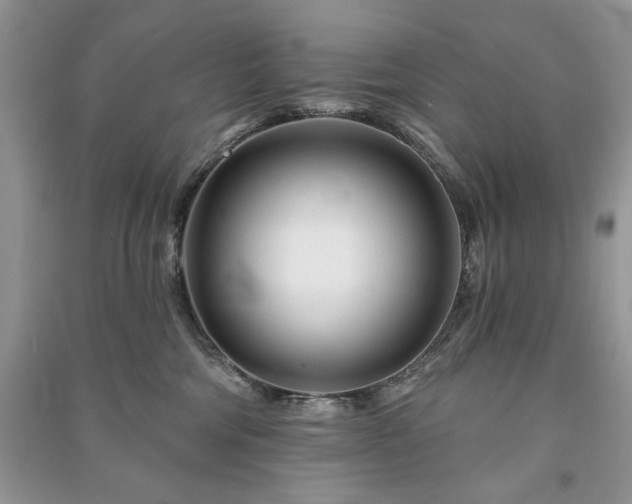 X0000090970330200708091441