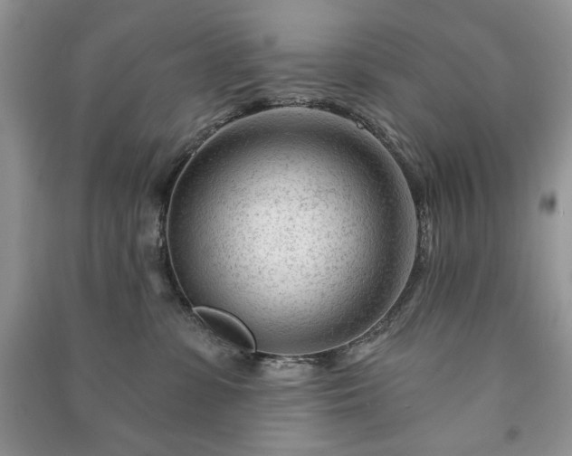 X0000090970331200708091441