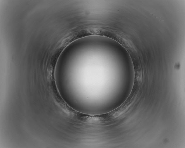 X0000090970332200708091441