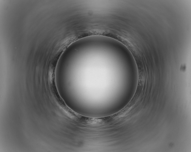 X0000090970334200708091441