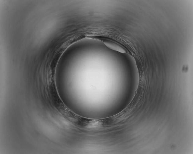 X0000090970335200708091441