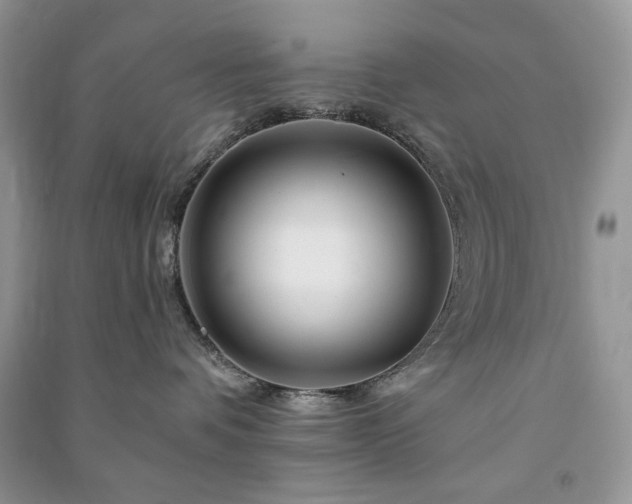 X0000090970336200708091441