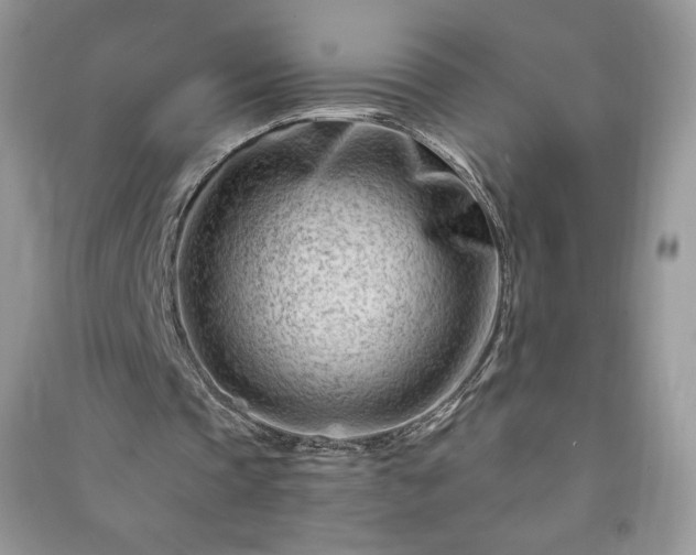 X0000090970337200708091441