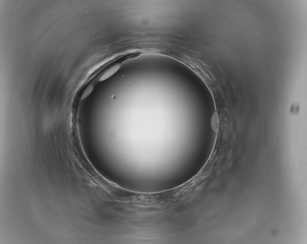 X0000090970338200708091441